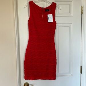 Guess, fully lined lace dress, never worn
